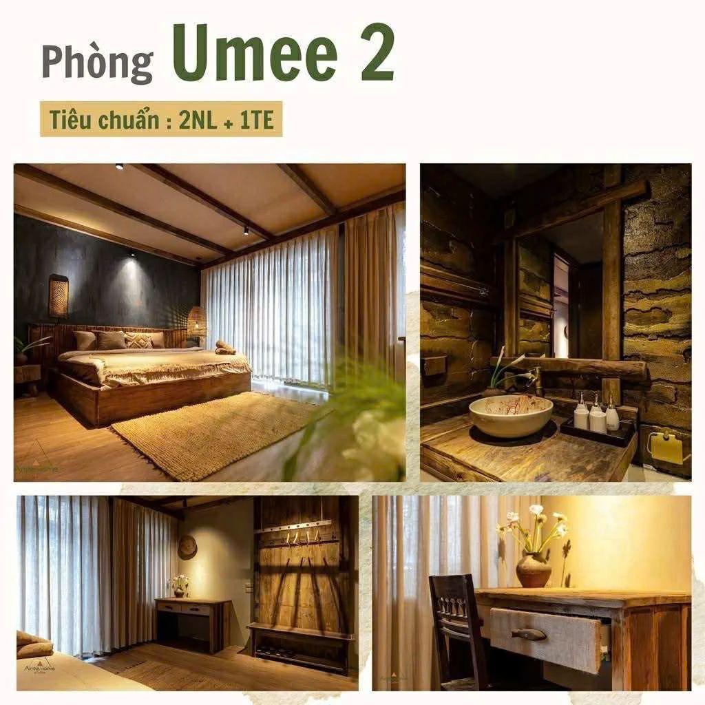 Gallery 1