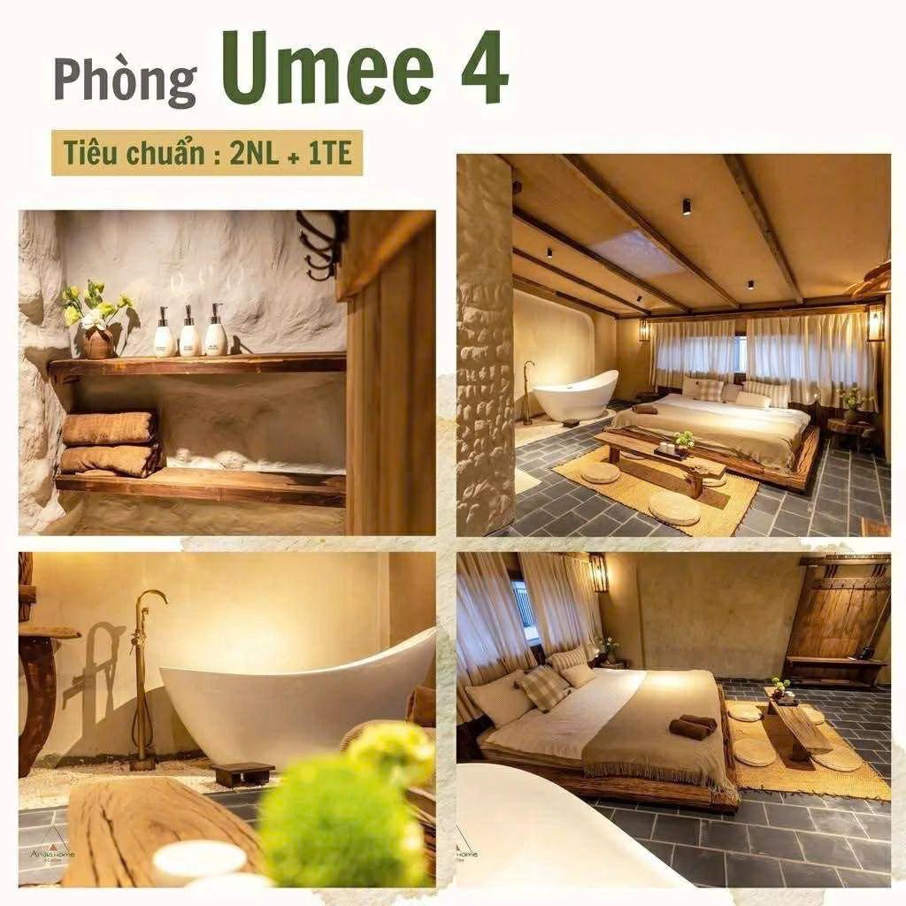 Gallery 2